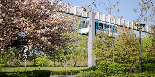 TU Dortmund University Spring_11 H-Bahn line surrounded by flowering trees.