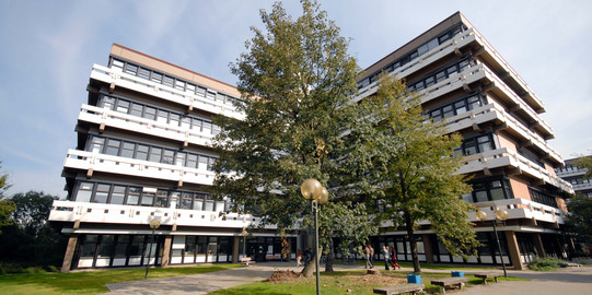 The picture shows the EF 50 building in the summer