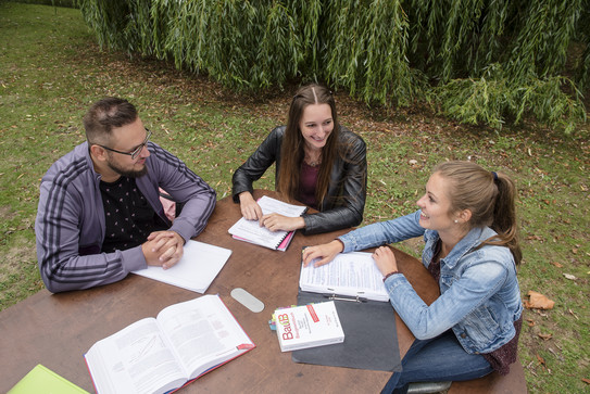 Three students sitting at a table on a meadow studying.