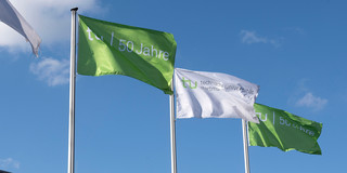 Green and white flags with the inscription “TU 50 years“